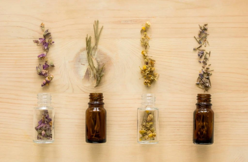 Notas de perfumes: Guia Completo sobre notas olfativas